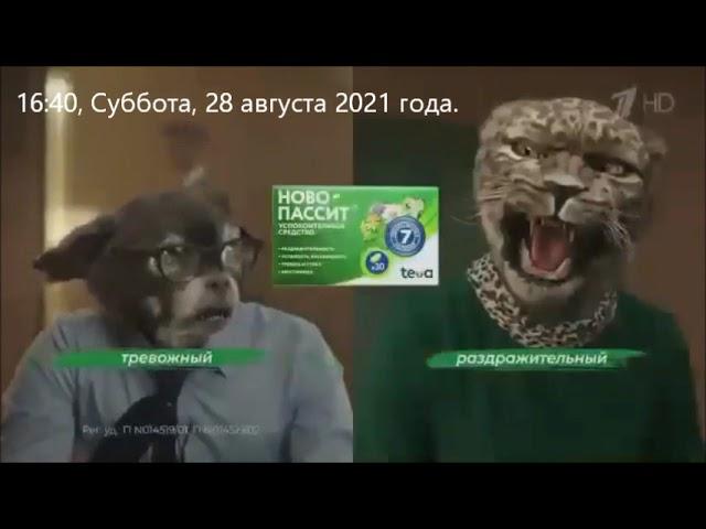 Реклама Новопассит Офис   Август 2021