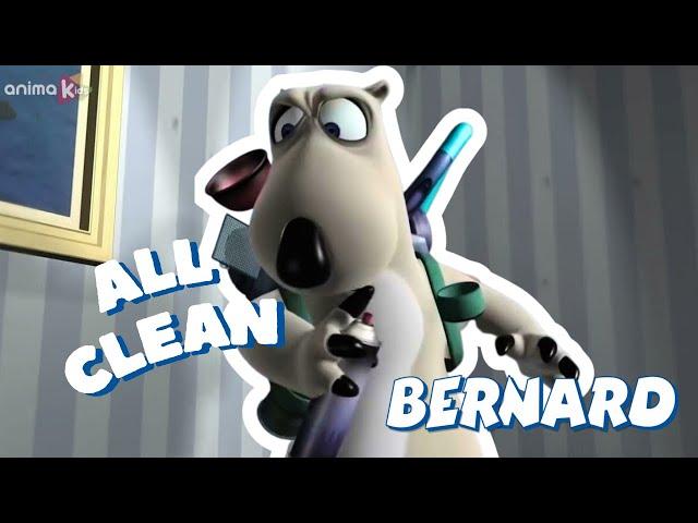 ‍️ BERNARD USES ALL OF HIS CLEANING TECHNIQUES | Full Episodes | VIDEOS and CARTOONS FOR KIDS