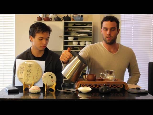 Golden Buds Shou Pu'erh [TeaDB Episode 5]