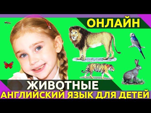 ⭐ Учим английский язык. Животные на английском языке. 25 карточек Домана по-английски для детей