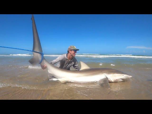 HUGE Dusky Shark from the Beach! Overnight PINS Shark Fishing Trip