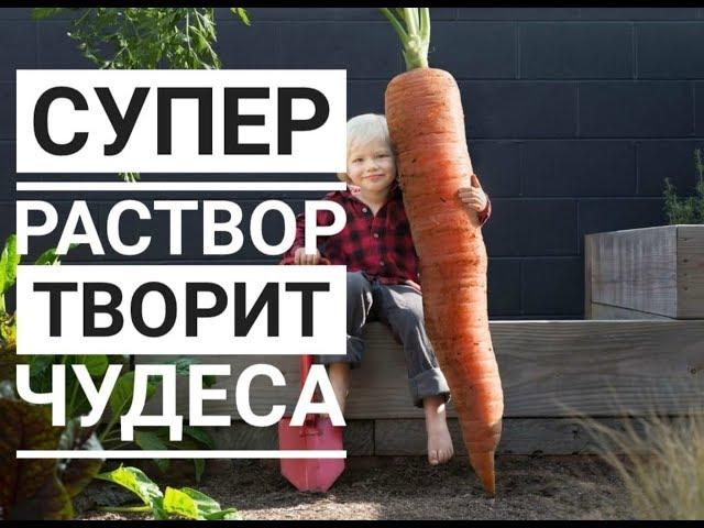 Супер раствор творит чудеса