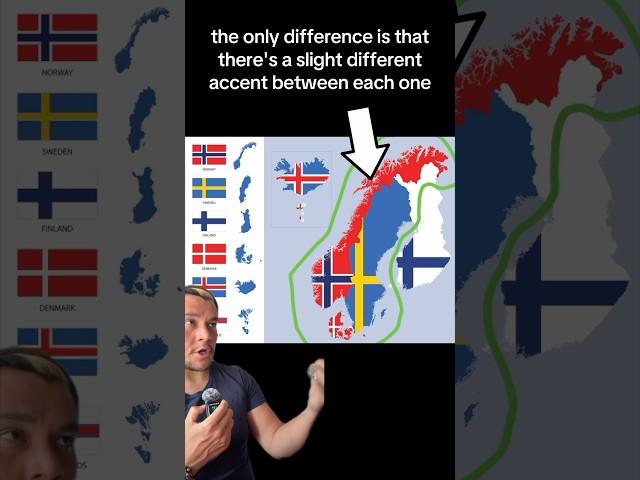 The Nordics explained in less than one minute ￼