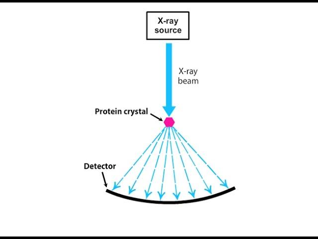 X Ray Crystallography Animation I CSIR NET Life Science I GATE Life Science I DBT JRF