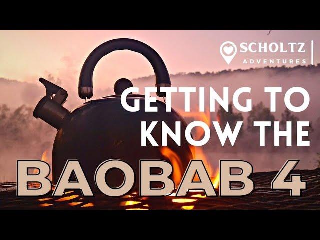 Exploring the features of the Bushlapa Baobab 4