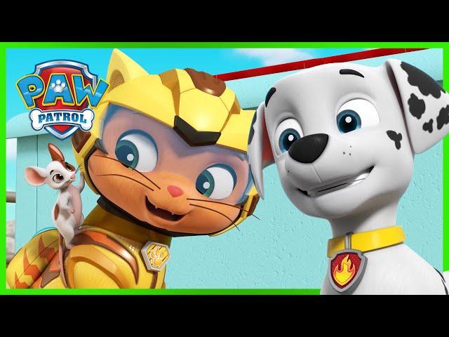 Cat Pack & Moto Pups Rescues | PAW Patrol Compilation | Cartoons for Kids