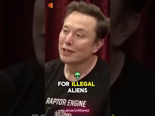 IMMIGRATION Fraud EXPOSED in 2025