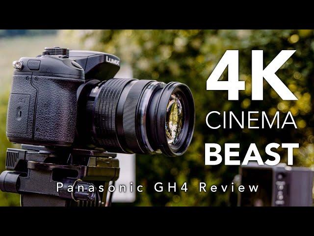 Panasonic GH4 in 2021 - Review for Video (vs GH5) with Ninja V