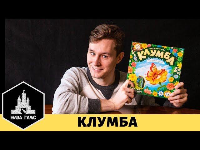 Лучшая российская семейная игра? Обзор и правила настольной игры Клумба.