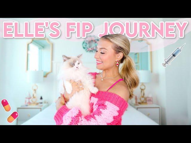 My Cat's Battle Against FIP | Elle's Storytime, Injections, Pills, Observation and A CURE!