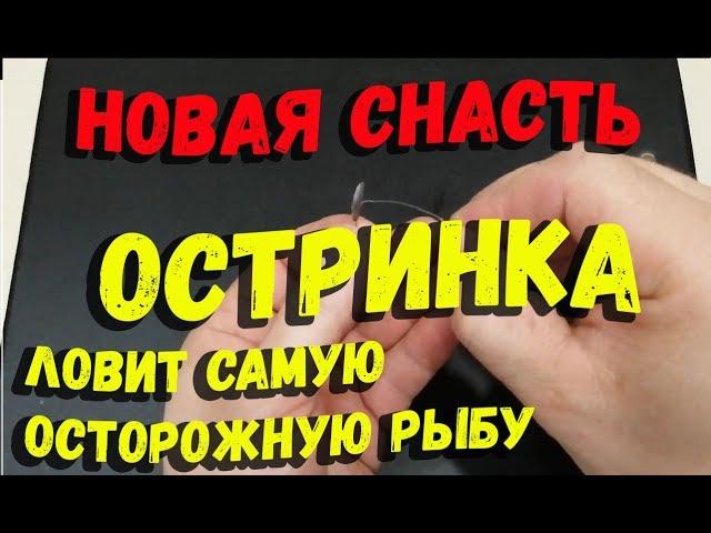 Новая снасть Остринка для ловли осторожной рыбы