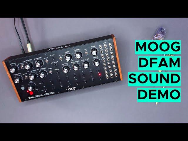 Moog DFAM Sound Demo (no talking) Techno and Ambient