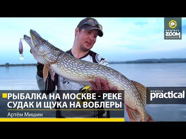 Рыбалка на Москве - реке. Судак и щука на воблеры. Артем Мишин. Anglers Practical