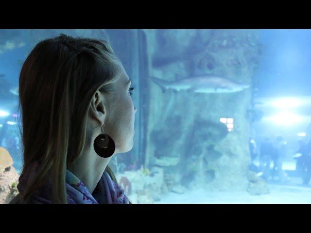 Москвариум: очередь, косатки, акулы (Oceanarium in Moscow)