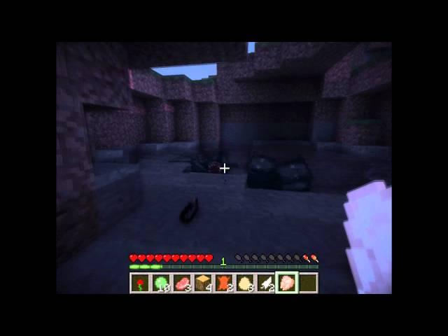 SBF Minecraft и Fess25Rus