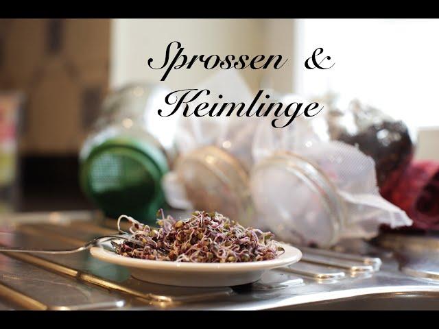Sprossen & Keimlinge - Viriditas Heilpflanzen-Video