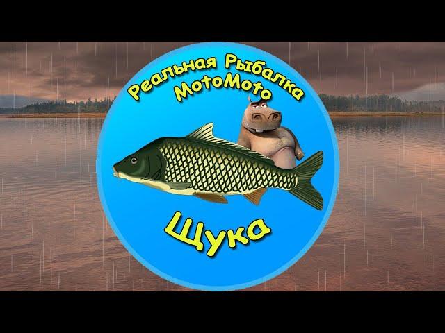 Как поймать Щуку на Братском водохранилище [NEW] | Реальная Рыбалка