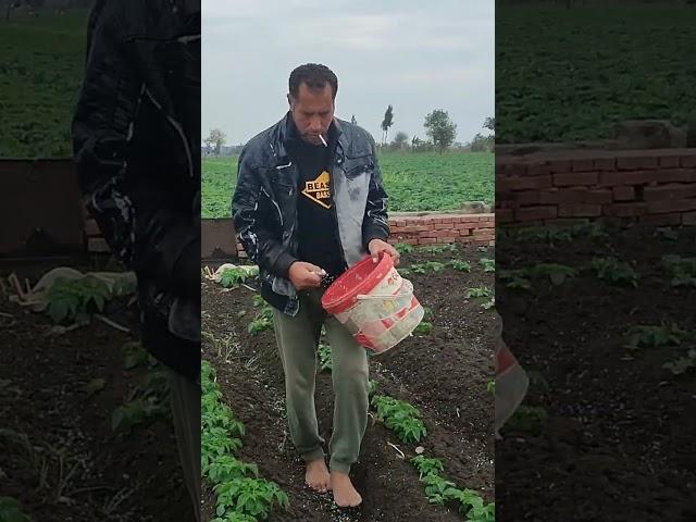 الرزق مش بالمال الرزق بالاولاد