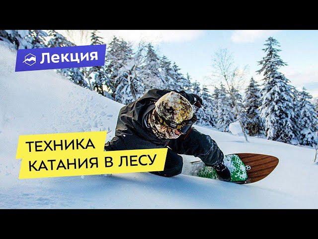 Фрирайд на сноуборде: техника катания в лесу