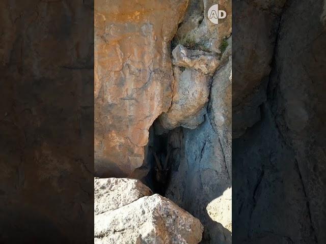 Incredible Drone Footage of a Bezoar Ibex Goat on an Inaccessible Cliff! ️