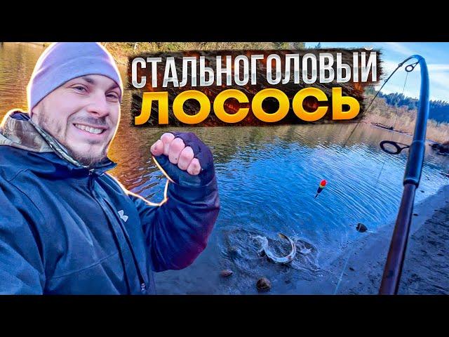 Рыбалка зимой на поплавок микижа (steelhead) в США