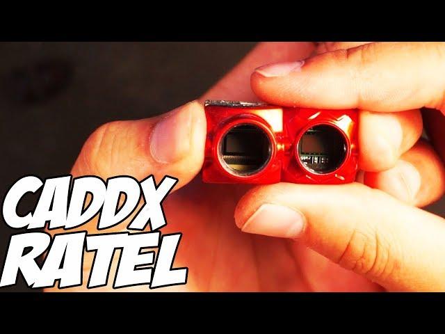  Лучшая камера до 30$? Или обычный среднячок? [Caddx Ratel]