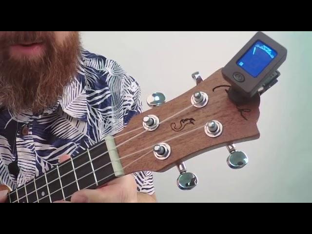 How to tuning ukulele with digital tuner