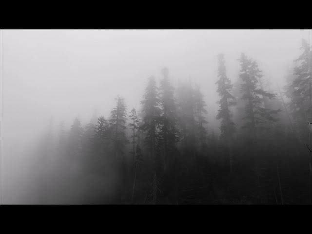 Etsu + Andy Leech - Shrouded in Mist