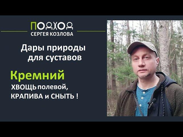 Кремний для суставов от асептического некроза и остеопороза. Хвощь, крапива и сныть для суставов.