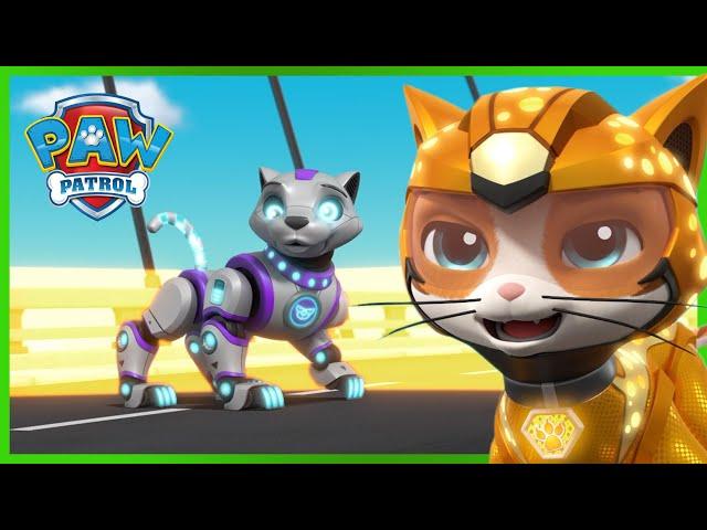 The Pups Meet the Cat Pack! - PAW Patrol Rescue Episode - Cartoons for Kids!