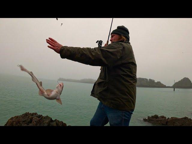 Pêche du bord à l'appât naturel