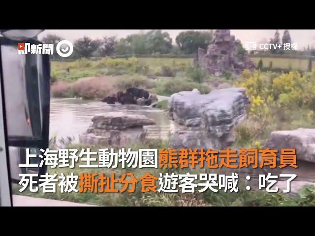 上海野生動物園飼育員遭熊群拖走！被撕扯分食「吃了」｜中國大陸｜意外｜猛獸｜2020