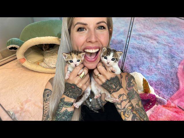 Get Ready with Me as I Meet My New Foster Kittens!