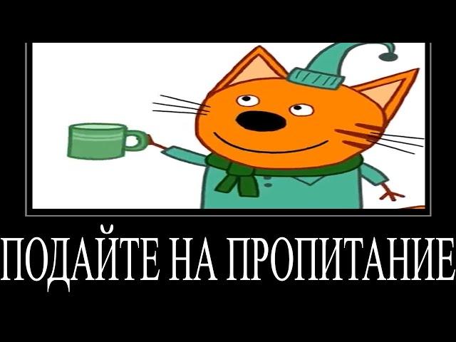 МУД ТРИ КОТА ДЕМОТИВАТОР 23