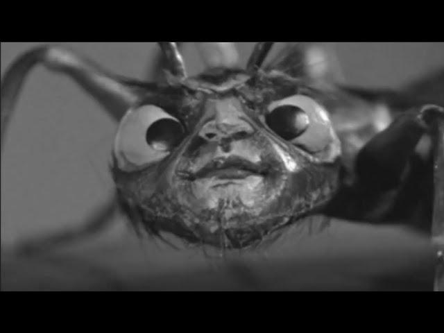 The Zantis From The Outer Limits Episode "The Zanti Misfits"