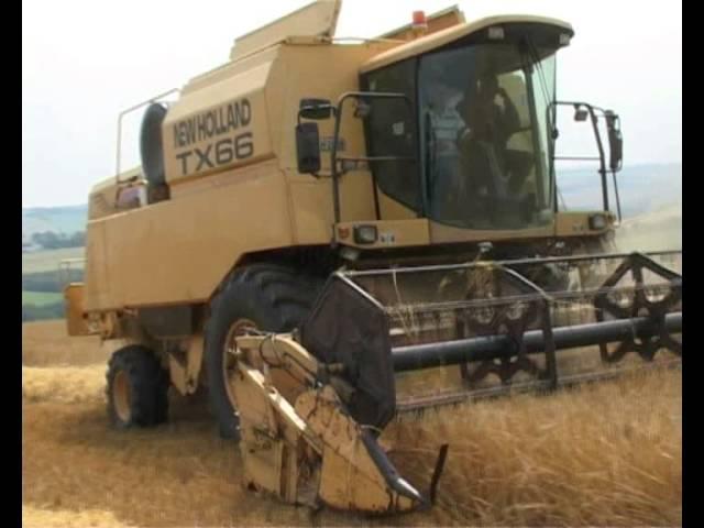 Claas 570 Lexion and New Holland TX66 combines