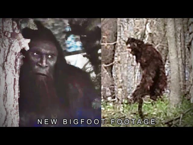 This New Bigfoot Footage is SHOCKING the World