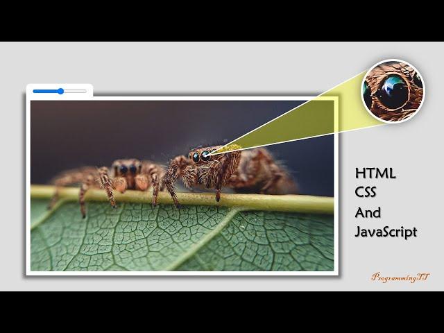 Image Magnifier Glass Using HTML CSS and JavaScript | Zoom Image On Hover | JavaScript Project