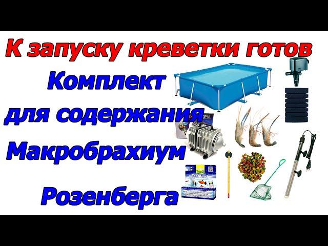 К запуску креветки готов,Комплект для содержания и выращивания Макробрахиум Розенберга