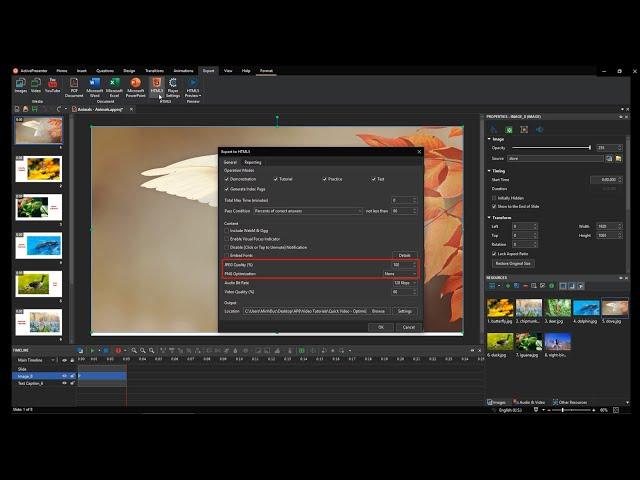 How to Resize Image and Reduce its File Size - ActivePresenter 8