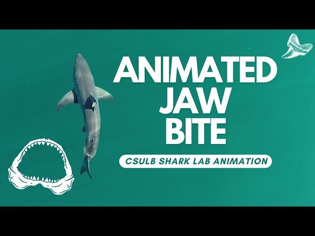 Animation: Shark Jaw Bite