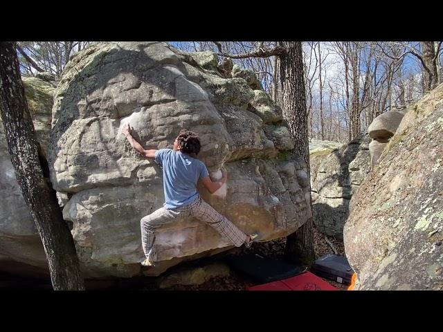 Horse pens 40 | The flow (v7)