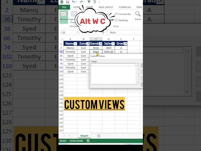 Excel Time-Saving Tricks: Master Custom Views for Efficient Data Management!