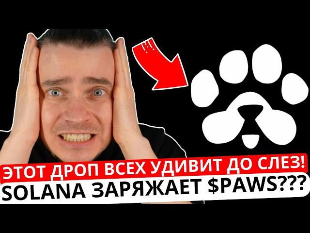 ️ PAWS 🟢 СРОЧНО! 🟢 ВОТ ЗАЧЕМ $PAWS! ЭТОТ ДРОП ВСЕХ УДИВИТ ДО СЛЕЗ! SOLANA ЗАРЯЖАЕТ $PAWS НА ИКСЫ?!