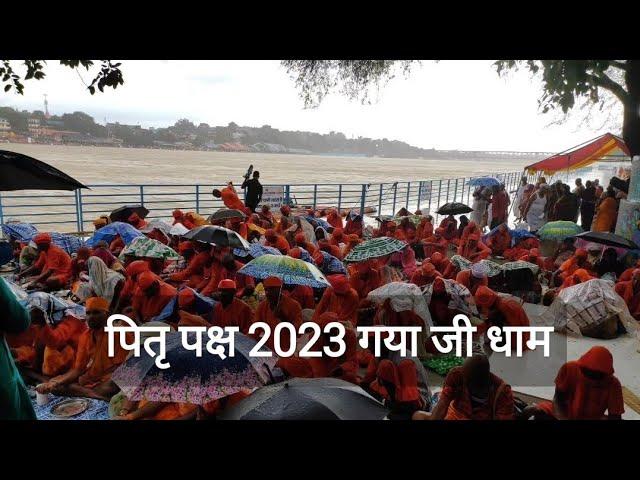 Pitra paksha Mela 2023 || Gaya web tv || Gaya ke public web tv || pitra paksha Gaya ji Dham || Gaya