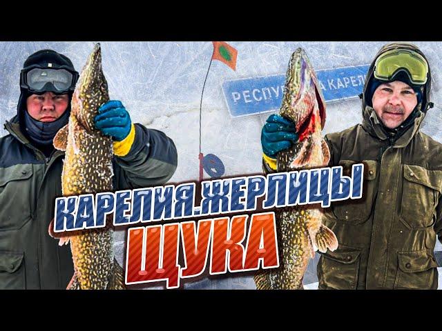 ▶️ЖОР ЩУКИ/РЫБАЛКА НА ЖЕРЛИЦЫ/ОЗЕРО В КАРЕЛИИFISHING REGION 29#карелия#рыбалка#щука#жерлицы