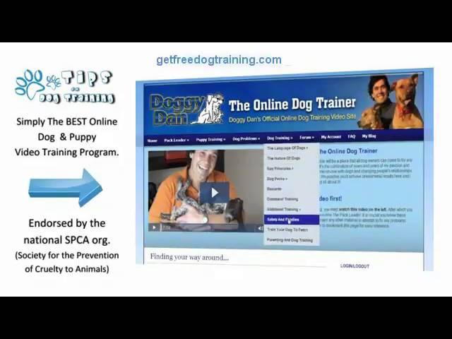 Doggy Dan’s Online Dog Trainer Review – Benefits Of The Program