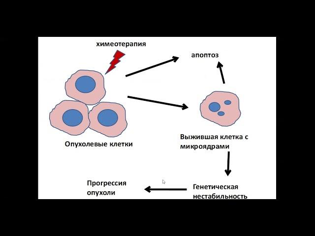 Подгруппа к.б.н., доц. О. П. Кисуриной-Евгеньевой