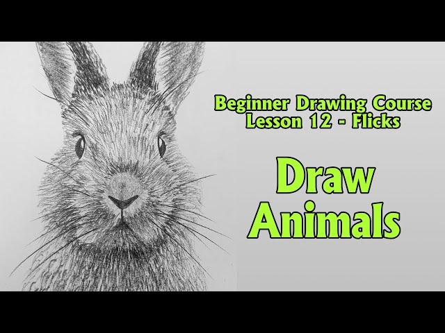 How to Draw Animals Using Flicks - Drawing for Beginners Course 12