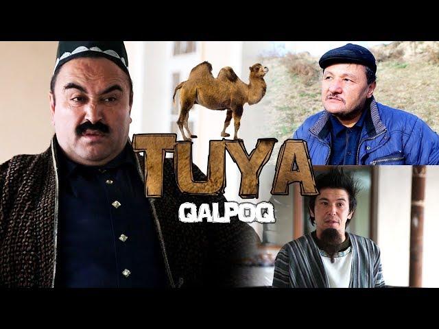 Qalpoq - Tuya | Калпок - Туя (hajviy ko'rsatuv)